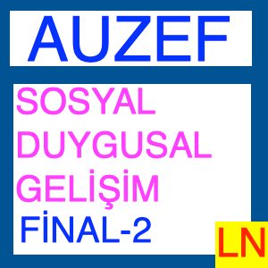 Sosyal - Duygusal Gelişim Final Deneme Sınavı -2