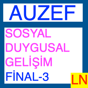 Sosyal - Duygusal Gelişim Final Deneme Sınavı -3