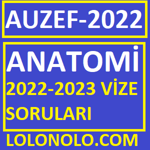 Anatomi 2022-2023 Vize Soruları