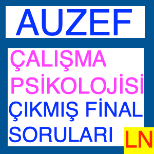 Auzef Çalışma Psikolojisi Çıkmış Final Soruları
