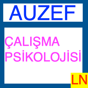 Auzef Çalışma Psikolojisi