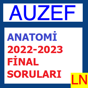Anatomi 2022-2023 Final Soruları