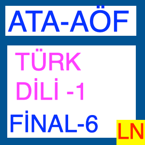 AtaAöf – Türk Dili 1 Final Deneme Sınavı -6