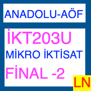 iKT203U Mikro İktisat Final Deneme Sınavı -2