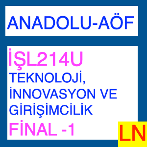 İŞL214U Teknoloji, İnnovasyon ve Girişimcilik Final Deneme Sınavı -1
