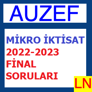 Mikro İktisat 2022-2023 Final Soruları