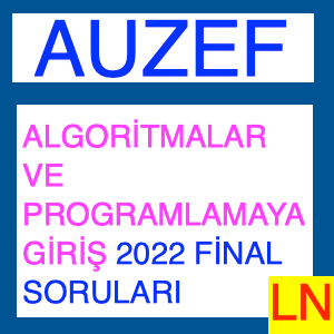 Algoritmalar ve Programlamaya Giriş 2022 Final Soruları