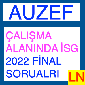 Çalışma Alanlarında İş Sağlığı ve Güvenliği 1 2022 Final Soruları