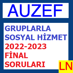 Gruplarla Sosyal Hizmet 2022-2023 Final Soruları