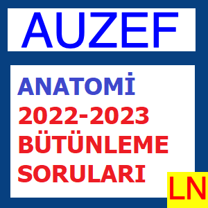 Anatomi 2022-2023 Bütünleme Soruları