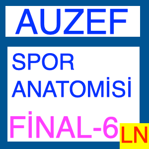 Auzef Spor Anatomisi Final Deneme Sınavı -6-min
