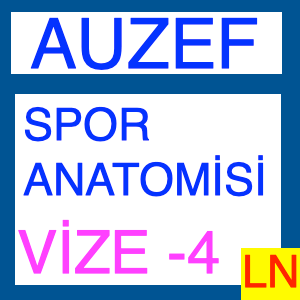 Auzef Spor Anatomisi Vize Deneme Sınavı -4