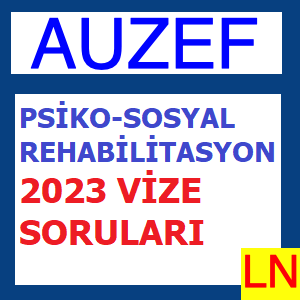 Psiko-Sosyal Rehabilitasyon 2023 Vize Soruları