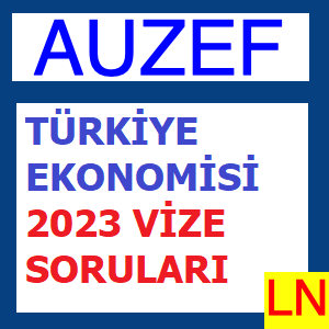 Türkiye Ekonomisi 2023 Vize Soruları
