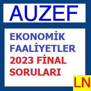 Ekonomik Faaliyetler 2023 Final Soruları