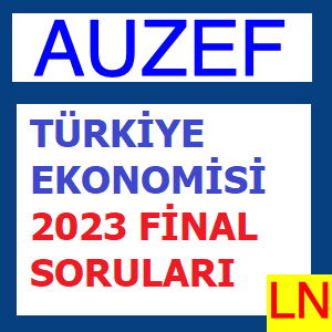Türkiye Ekonomisi 2023 Final Soruları