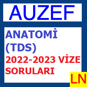 Anatomi (TDS) 2022-2023 Vize Soruları