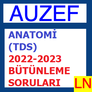 Anatomi (TDS) 2022-2023 Bütünleme Soruları