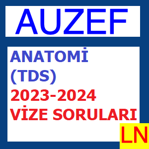Anatomi (TDS) 2023-2024 Vize Soruları
