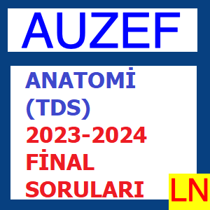 Anatomi (TDS) 2023-2024 Final Soruları