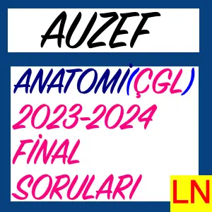 Auzef Anatomi 2023-2024 Final Soruları