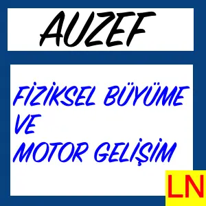 Auzef Fiziksel Büyüme Ve Motor Gelişim