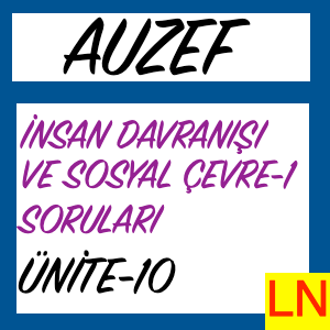 Ergenlik Çağı ve Aileler, Akran Grupları, Eğitim, İş ve Serbest Zaman