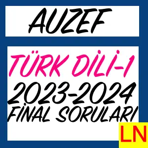Türk Dili -1 2023-2024 Final Soruları