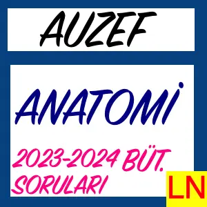 Anatomi 2023-2024 Bütünleme Soruları
