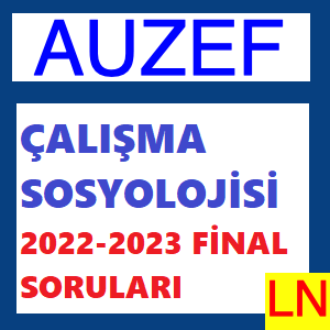 Çalışma Sosyolojisi 2022-2023 Final Soruları