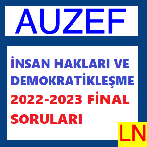 İnsan Hakları ve Demokratikleşme 2022-2023 Final Soruları