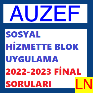 Sosyal Hizmette Blok Uygulama 2022-2023 Final Soruları