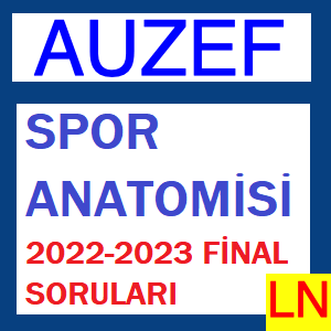 Spor Anatomisi 2022-2023 Final Soruları