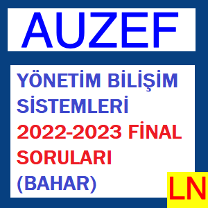 Yönetim Bilişim Sistemleri 2022-2023 Final Soruları (Bahar)