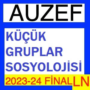 Küçük Gruplar Sosyolojisi 2023-2024 Final Soruları