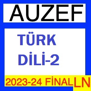 Türk Dili-2 2023-2024 Final Soruları