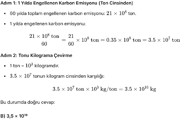 2024 LGS Matematik Soru 2