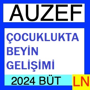 Çocuklukta Beyin Gelişimi 2023-2024 Bütünleme Soruları