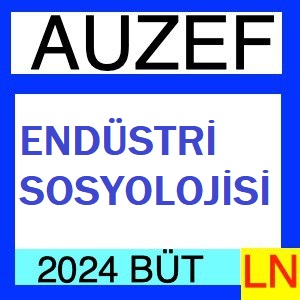 Endüstri Sosyolojisi 2023-2024 Bütünleme Soruları