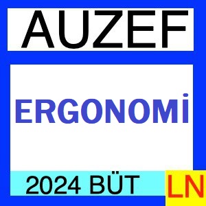 Ergonomi 2023-2024 Bütünleme Soruları (Bahar)