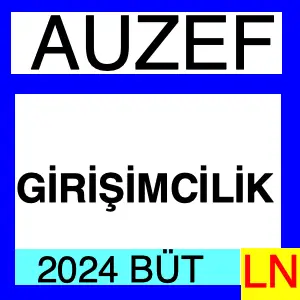 Girişimcilik 2024 Bütünleme Soruları