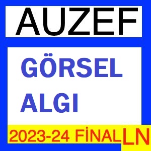 Görsel Algı 2023-2024 Final Soruları