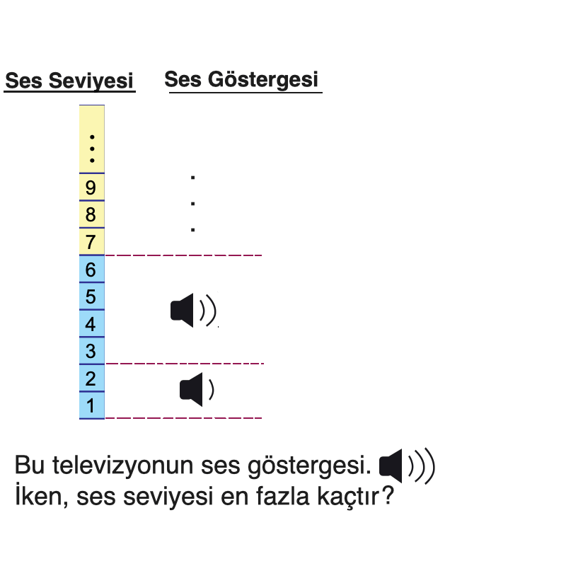 LGS 2024 Matematik Soru 11