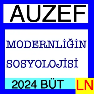 Modernliğin Sosyolojisi-2024 Bütünleme Soruları