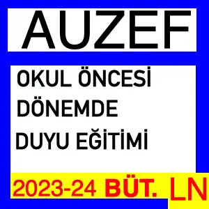 Okul Öncesi Dönemde Duyu Eğitimi 2023-2024 Bütünleme Soruları