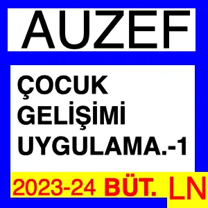 Auzef Çocuk Gelişimi Uygulamaları -1 2023-2024 Bütünleme Soruları