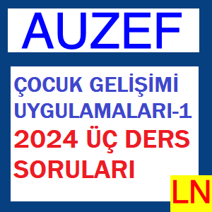 Çocuk Gelişimi Uygulamaları-1 2024 Üç Ders Soruları