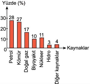 LGS-2023-Türkçe-Soru-16-d