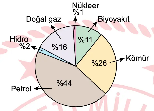 LGS-2023-Türkçe-soru-16