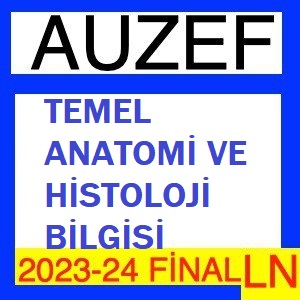 Temel Anatomi ve Histoloji Bilgisi 2023-2024 Final Soruları